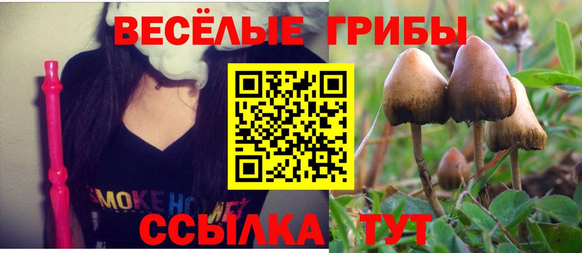 Галлюциногенные грибы Psilocybine cubensis  Вход с VPN  Озёры 